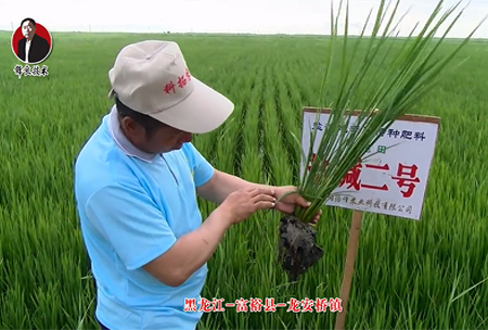 富?？h-龍安橋鎮(zhèn)